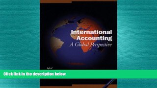 FREE PDF  International Accounting: A Global Perspective  BOOK ONLINE
