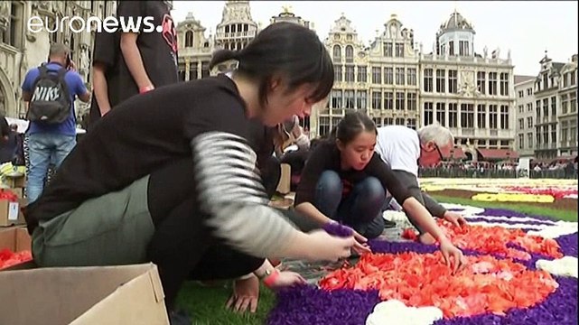 Un tapis de fleurs aux couleurs du Japon sur la Grand-Place de Bruxelles