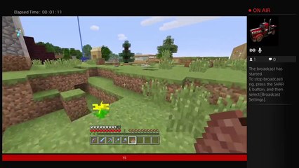 Minecraft PS4- Boring Survival Part 2 (21)
