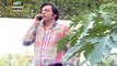 Watch Bulbulay Episode 196 on Ary Digital in High Quality 13th August 2016