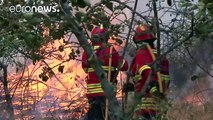 Portugal: le feu maîtrisé à Madère mais les incendies continuent sur le continent
