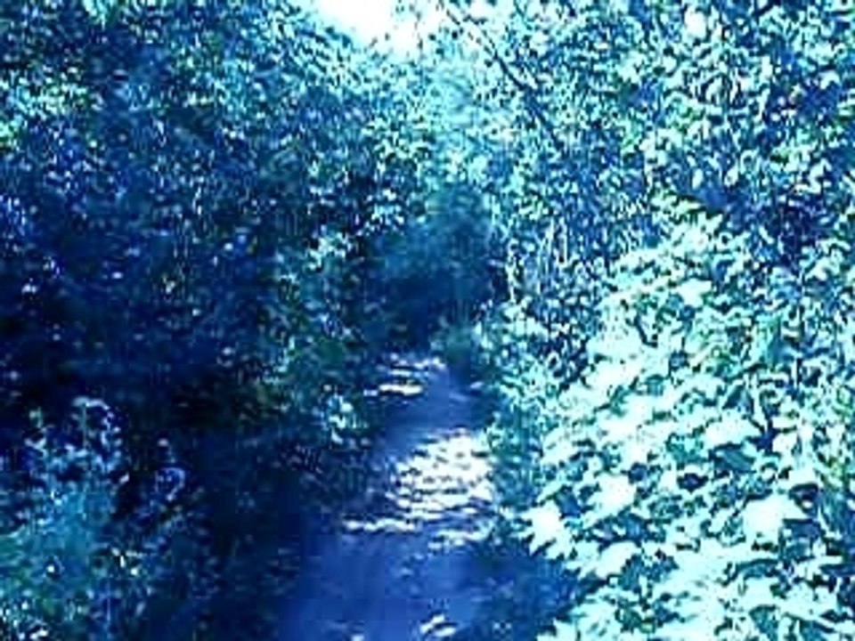 P1010120
