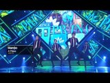 A-PRINCE(에이프린스) Mambo 쇼챔피언 72회 / エープリンス マンボ