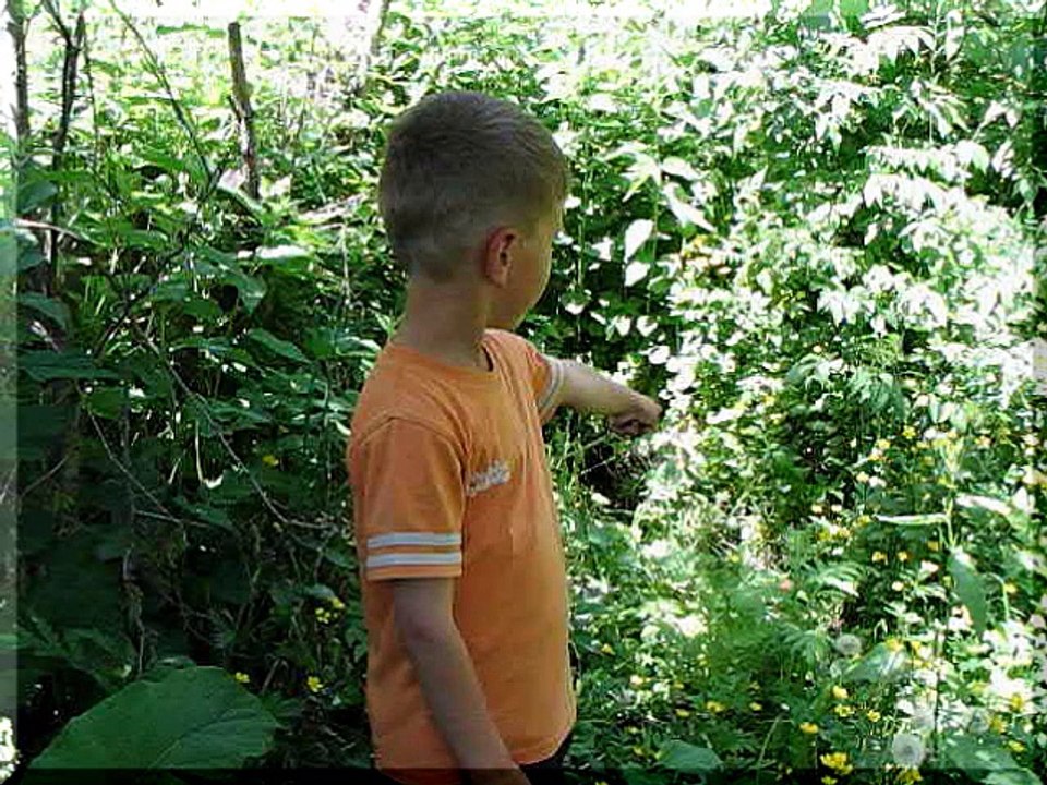 emMOJKRAJ - navrelu 2006
