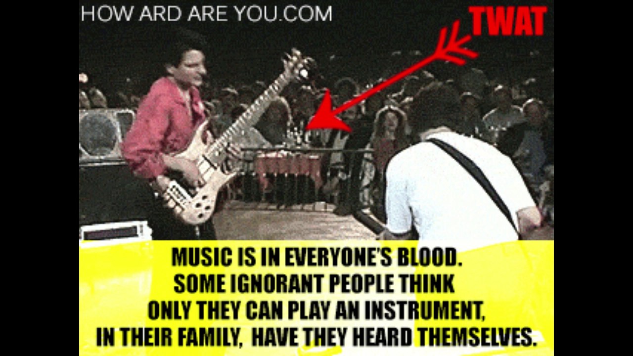 Guitar-Twat