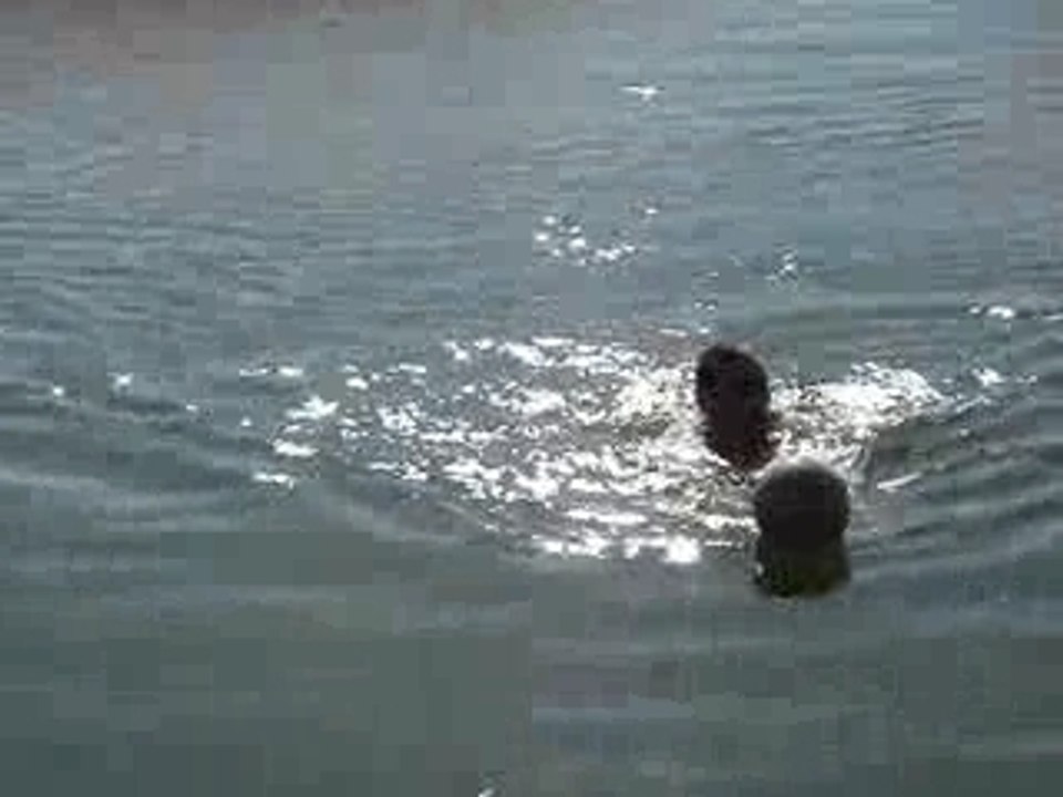 Mike à l'étang de hameau à l'eau!!!