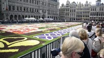 Flowers carpet on the Brussels 