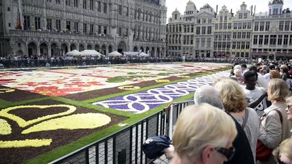 Flowers carpet on the Brussels "Grand'Place"