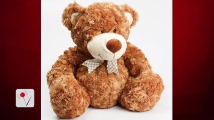 Police Helps Boy Who Tried to Sell Toy For Food