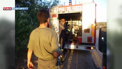 Andria: le sterpaglie di Via Bisceglie prendono fuoco, tutta colpa della biomassa