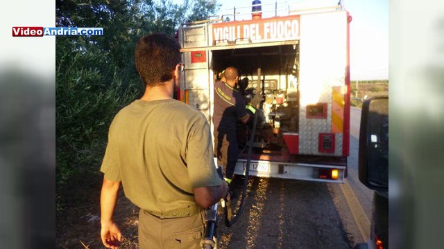 Andria: le sterpaglie di Via Bisceglie prendono fuoco, tutta colpa della biomassa