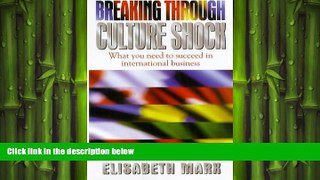 READ book  Breaking Through Culture Shock: What You Need to Succeed in International Business