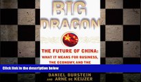 READ book  Big Dragon: The Future of China: WHAT IT MEANS FOR BUSINESS, THE ECONOMY, AND THE