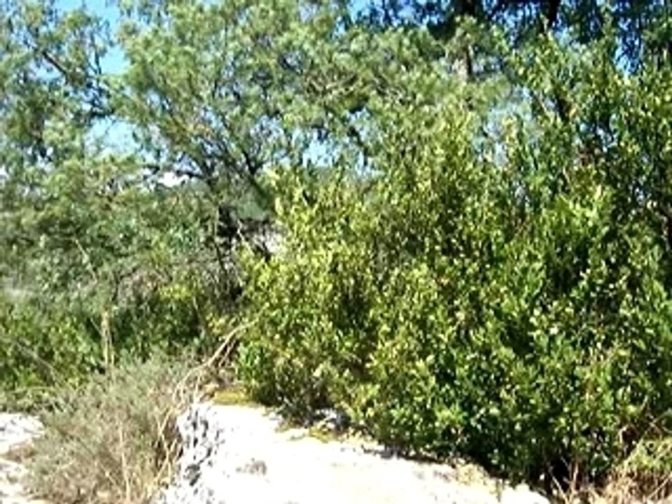 jump de ouf 22 mètres en ardèche