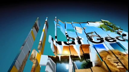 Rhino vs Lion Real Fighting (Nat Geo WILD Documentary)