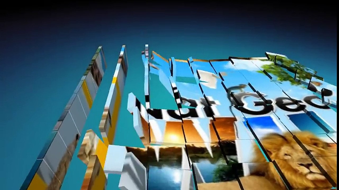 Rhino vs Lion Real Fighting (Nat Geo WILD Documentary)