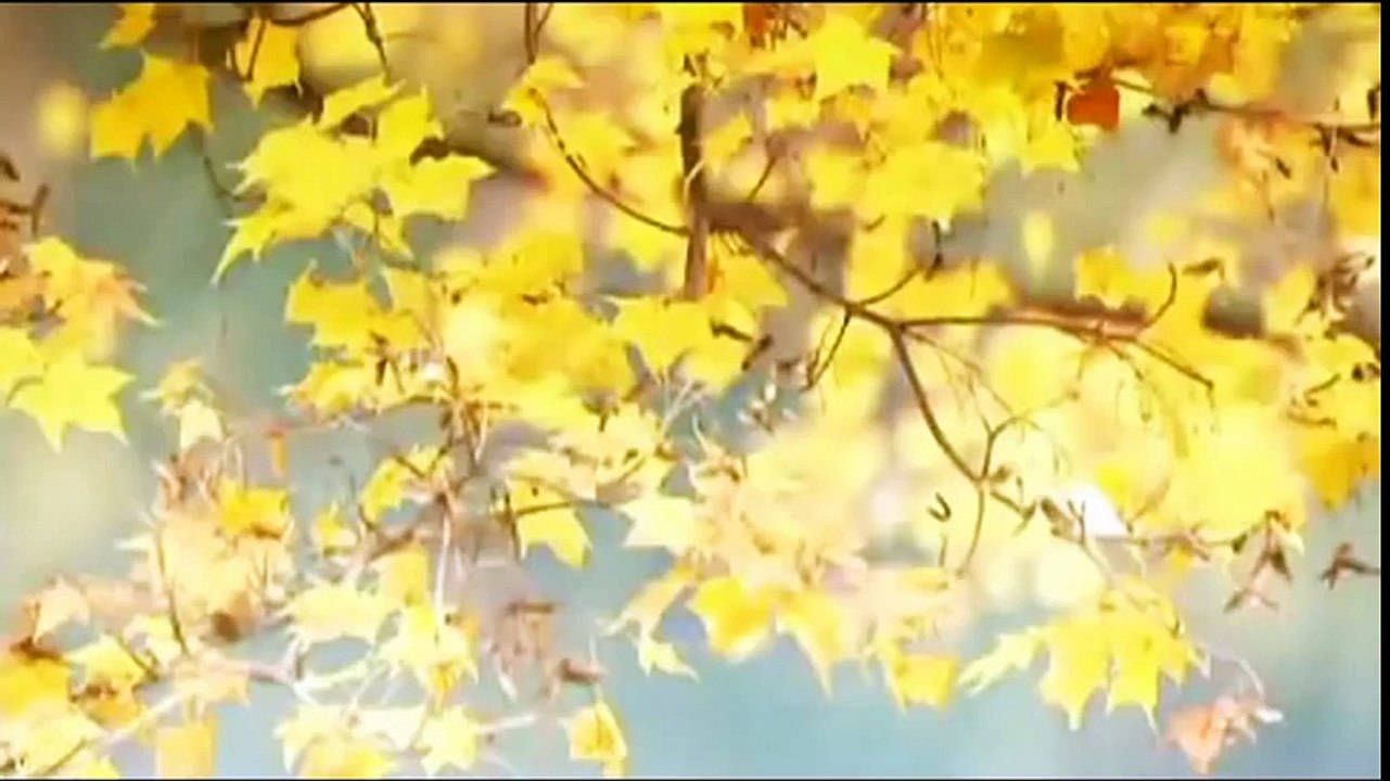 Beautiful Chinese Music Traditional