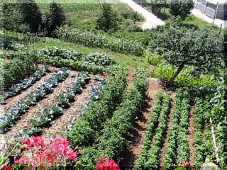 emHOME - balconyview 2006