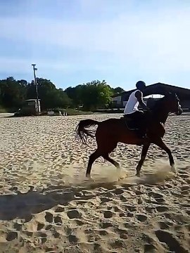 Vorgium CSO 13 aout 2016