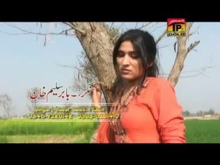 Tere Bajhun Mera Nahi Guzara  - Babar Saleem Khan - Album 1 - Saraiki Song