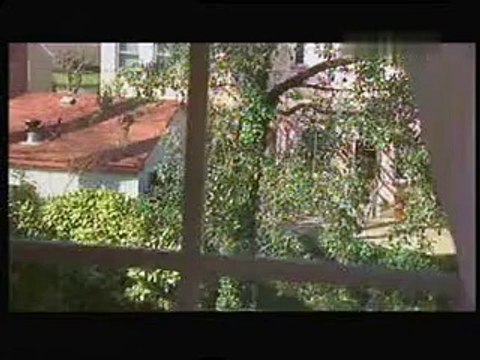 Истории за духове - Семейство Джонсън