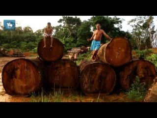 25 anos após morte de Chico Mendes, economia do Acre ainda depende do desmatamento