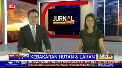 Jokowi Ingatkan Waspadai 217 Titik Api Kebakaran Lahan