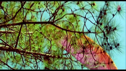 Pyaar Ki Ek Kahani (Full Song) _ Krrish _ Hrithik Roshan