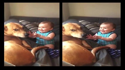 Baby can't stop laughing at dog's presence