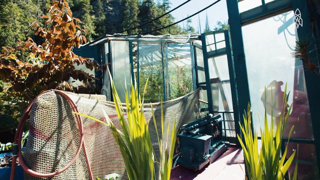 En autosuffisance grâce à une île flottante construite de leurs propres mains !