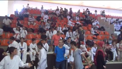 Nemrut Dağı Kommagene Bölgesel Karate Şampiyonası
