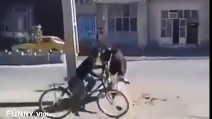 the MOST  funniest Situations EVER