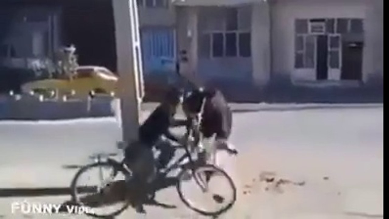 the MOST  funniest Situations EVER