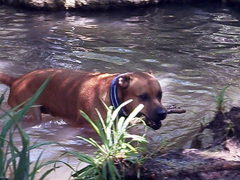 Eros et Lylie août 2016 vidéo n° 4