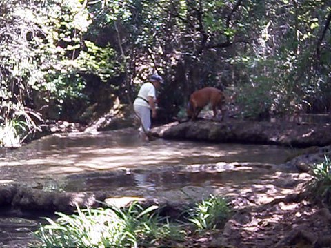 Eros et Lylie août 2016 vidéo n° 6