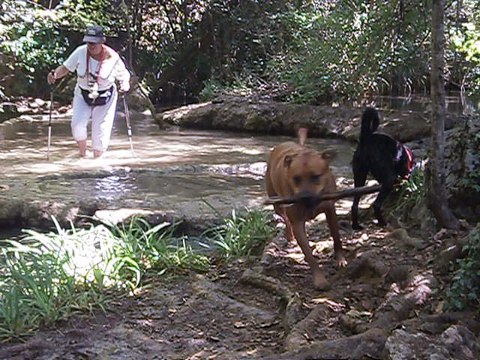 Eros et Lylie août 2016 vidéo n° 7