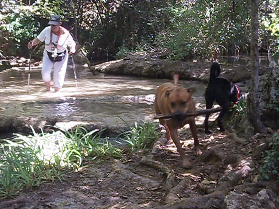 Eros et Lylie août 2016  vidéo n° 7