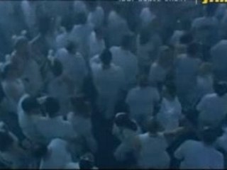 Sensation white 2006- Fred baker  (belgium)