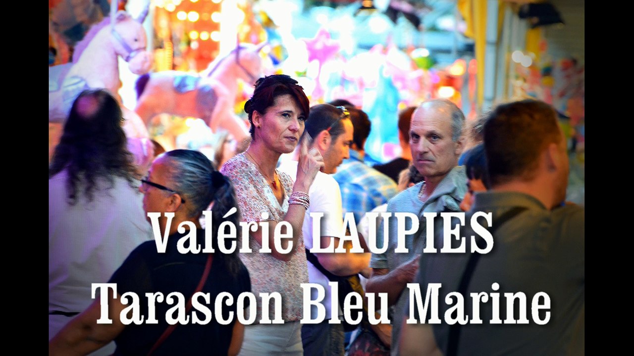 Intervention de V.Laupies au Conseil municipal de TARASCON (21/07/2016)