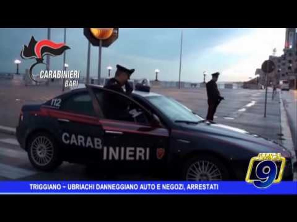 Triggiano | Ubriachi danneggiano auto e negozi, arrestati