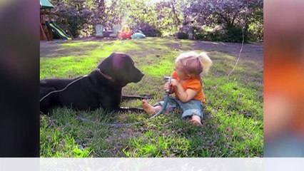 Best AFV VINE Fails of 2016  Funny Fail Compilation