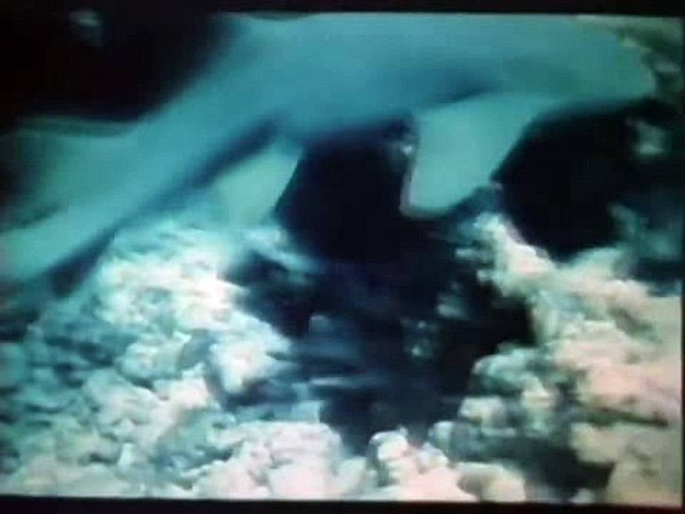 PERICCOLO NEGLI ABISSI DI BRUNO VAILATI Part 2