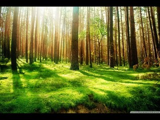 epic sights compilation - part1