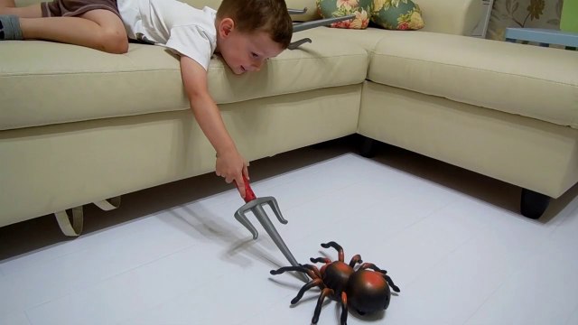 Огромный паук напал на Клима и Пилотика _ Giant Spider Attacks boy