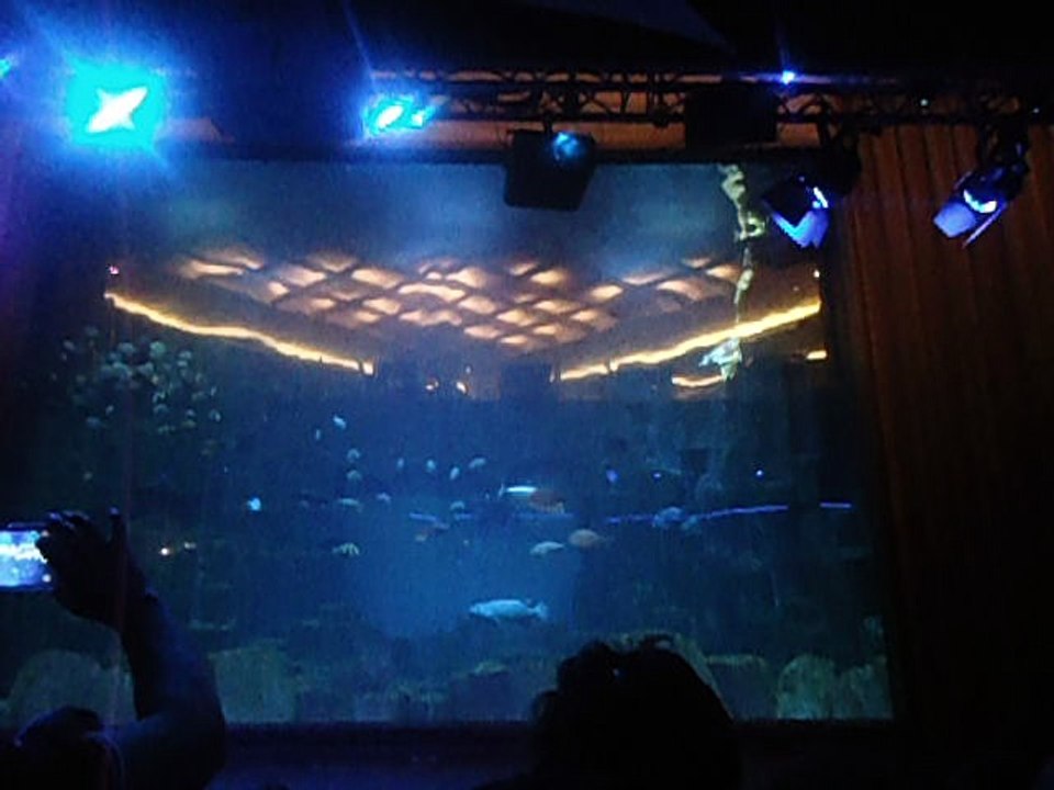 morceau du spectacle de John le Triton