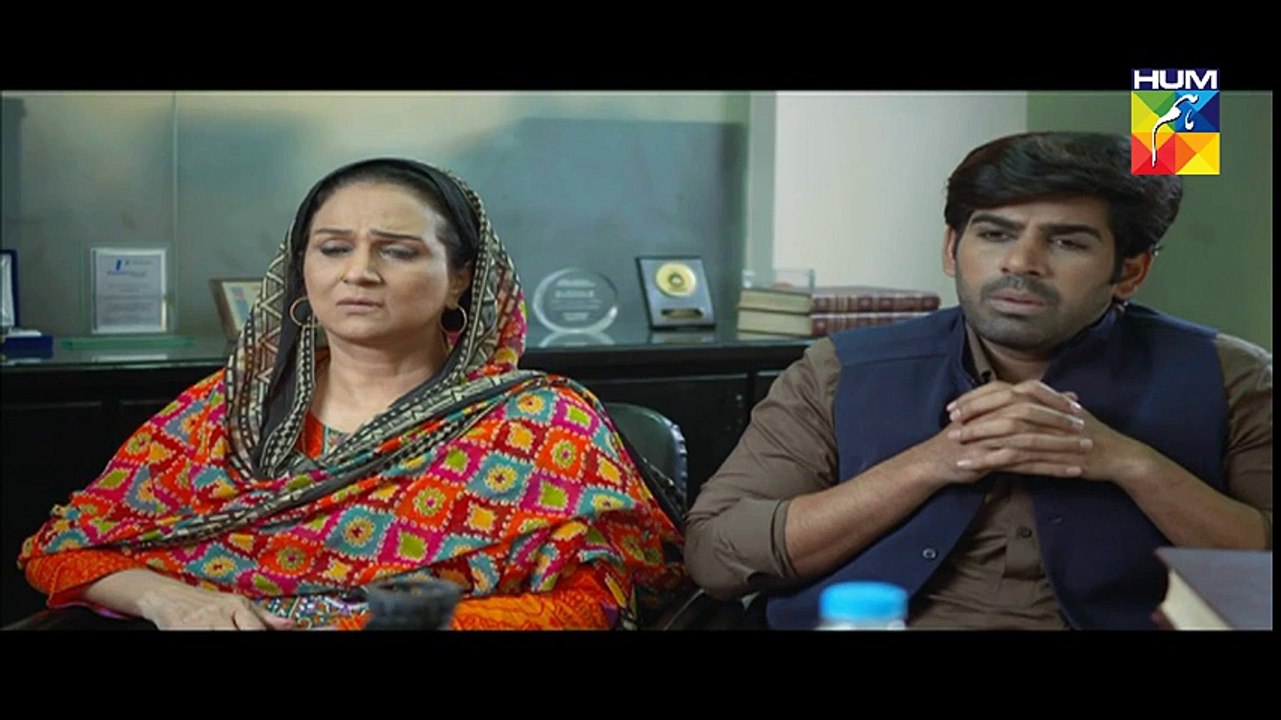 Udaari Episode 19 Full HD Hum TV Drama 14 Aug 2016
