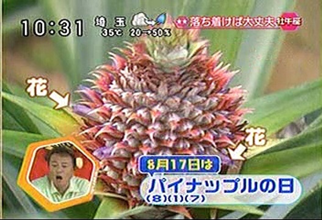 [2000年代バラエティ傑作シリーズ] ラジかる（2007年8月17日 ＯＡ）