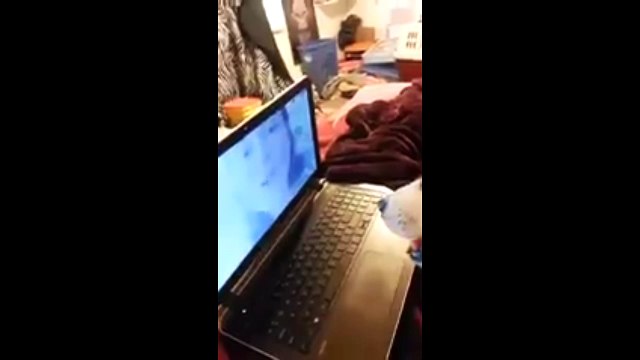 Песни по скайпу. Смешные приколы собаки