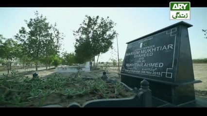 A Tribute to Flying Officer Marium Mukhtiar Shaheed