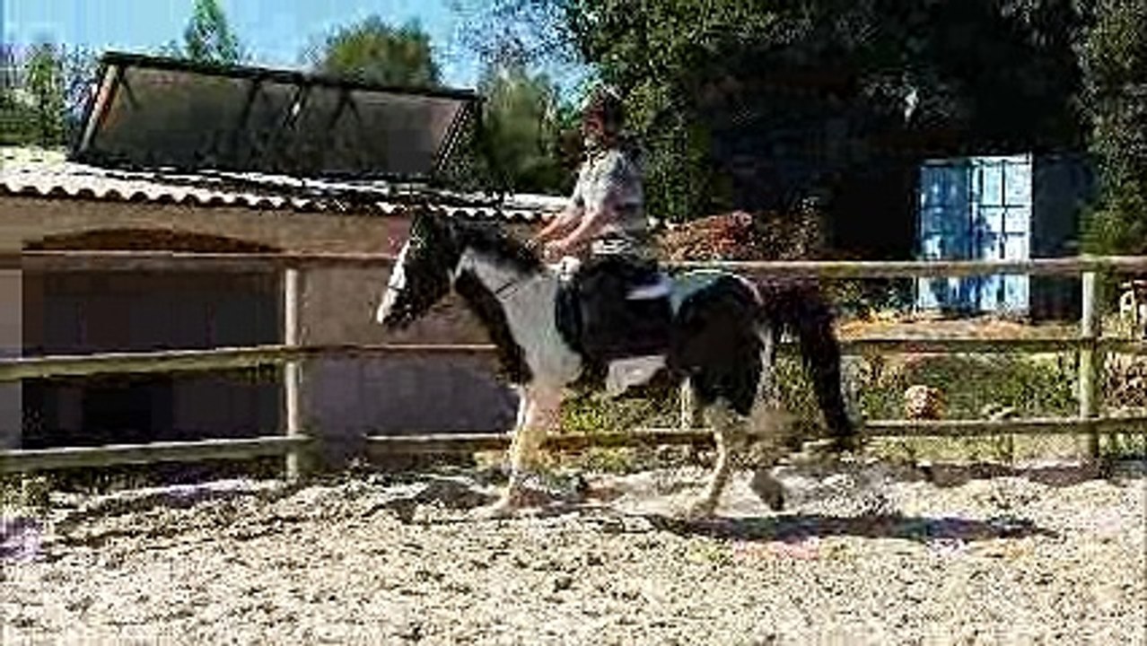 video5
